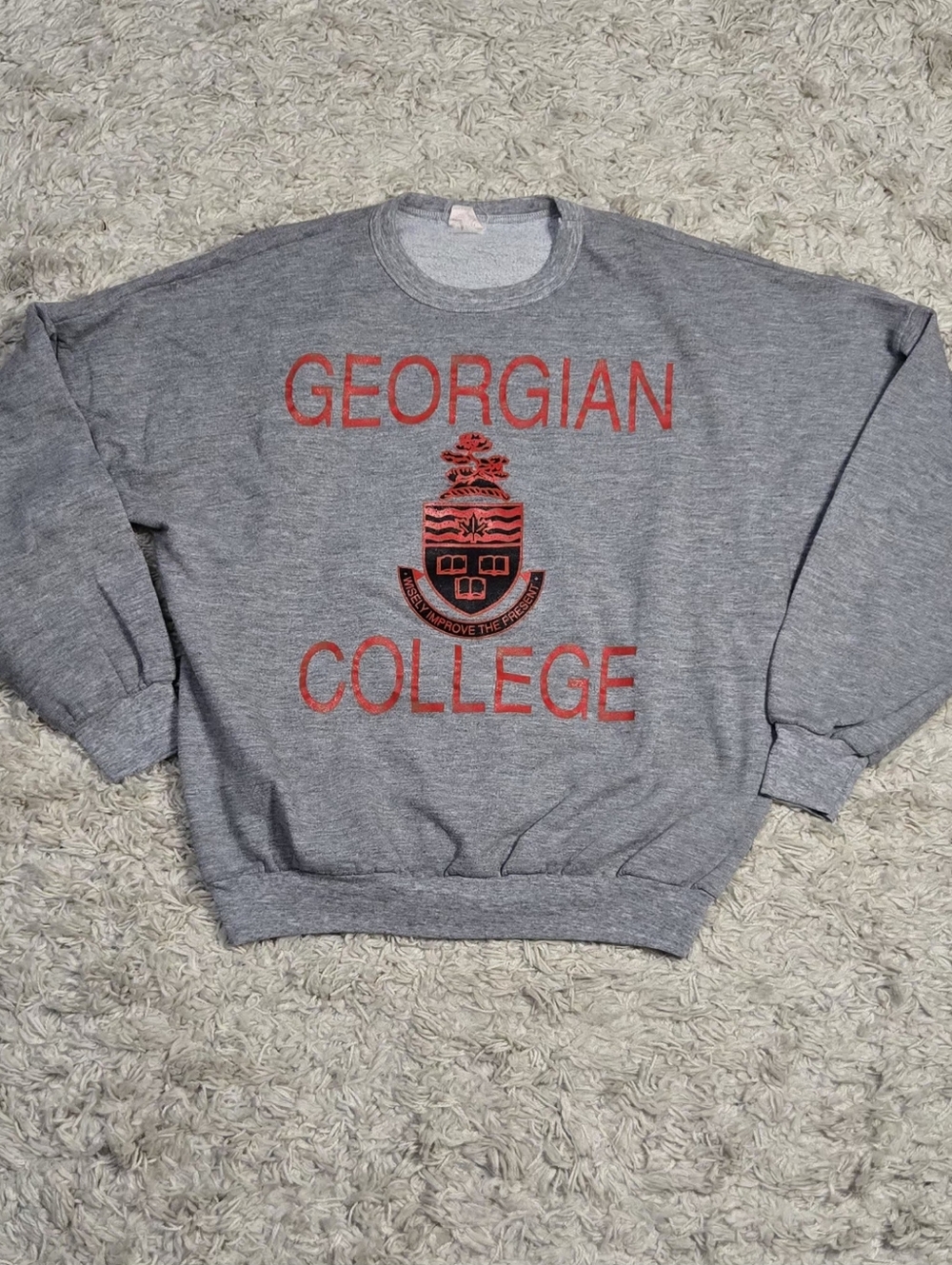 VTG 80s Georgian College Ravens Sport Crewneck Sweater M